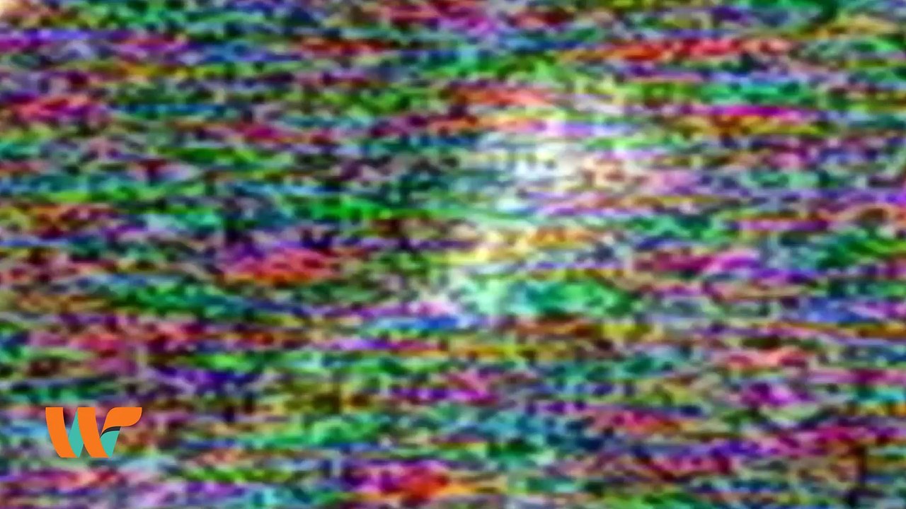 Conoce lo peor del cine de 2022 con los nominados a los Premios Razzie || Wipy TV