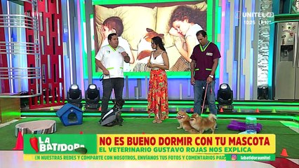 ¿Es bueno dormir con tu mascota? Un experto despeja las dudas 