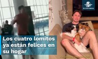 Se logró, encuentran a perritos extraviados tras llanto viral de su dueño en aeropuerto