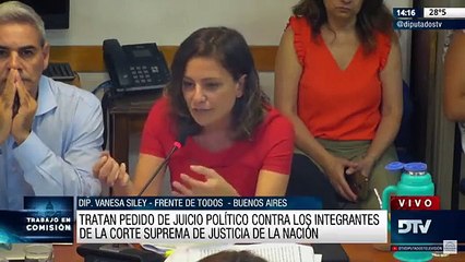 "No le concedo la interrupción por machirulo", el cruce entre los diputados Siley y Negri en la comisión de Juicio Político
