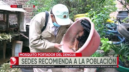 Identificar a los mosquitos portadores del dengue