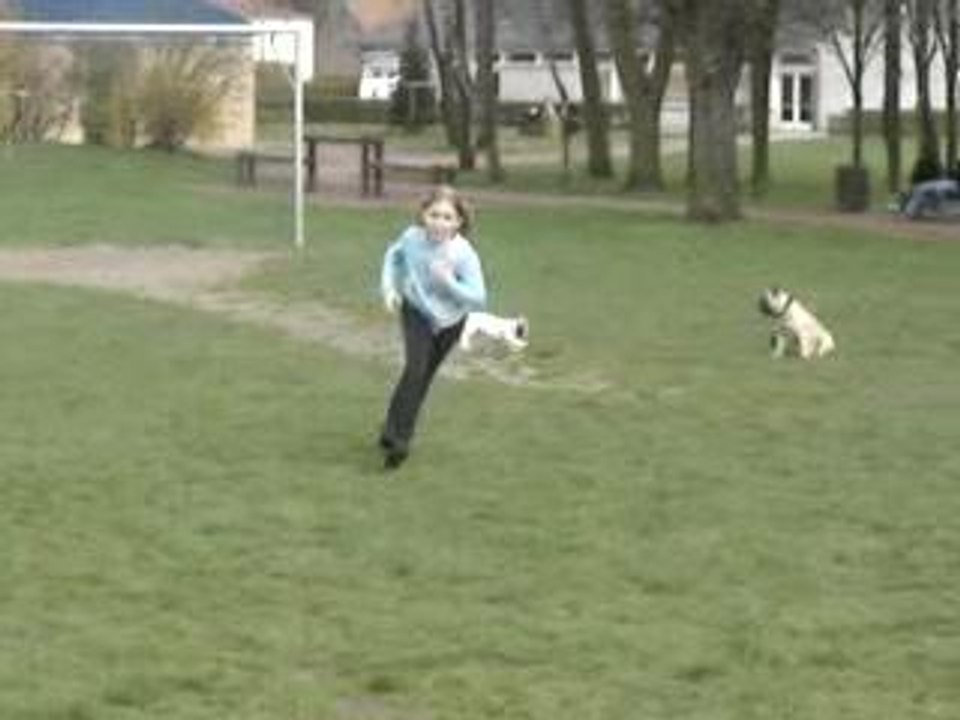 LA COURSE DES BOULIS