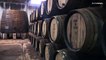 Portugal celebra el récord de ventas de sus vinos en 2022