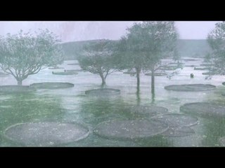 Rain sound ll Relaxation Music Healing StressllAnxiety ll Music for Sleep Meditation Music,