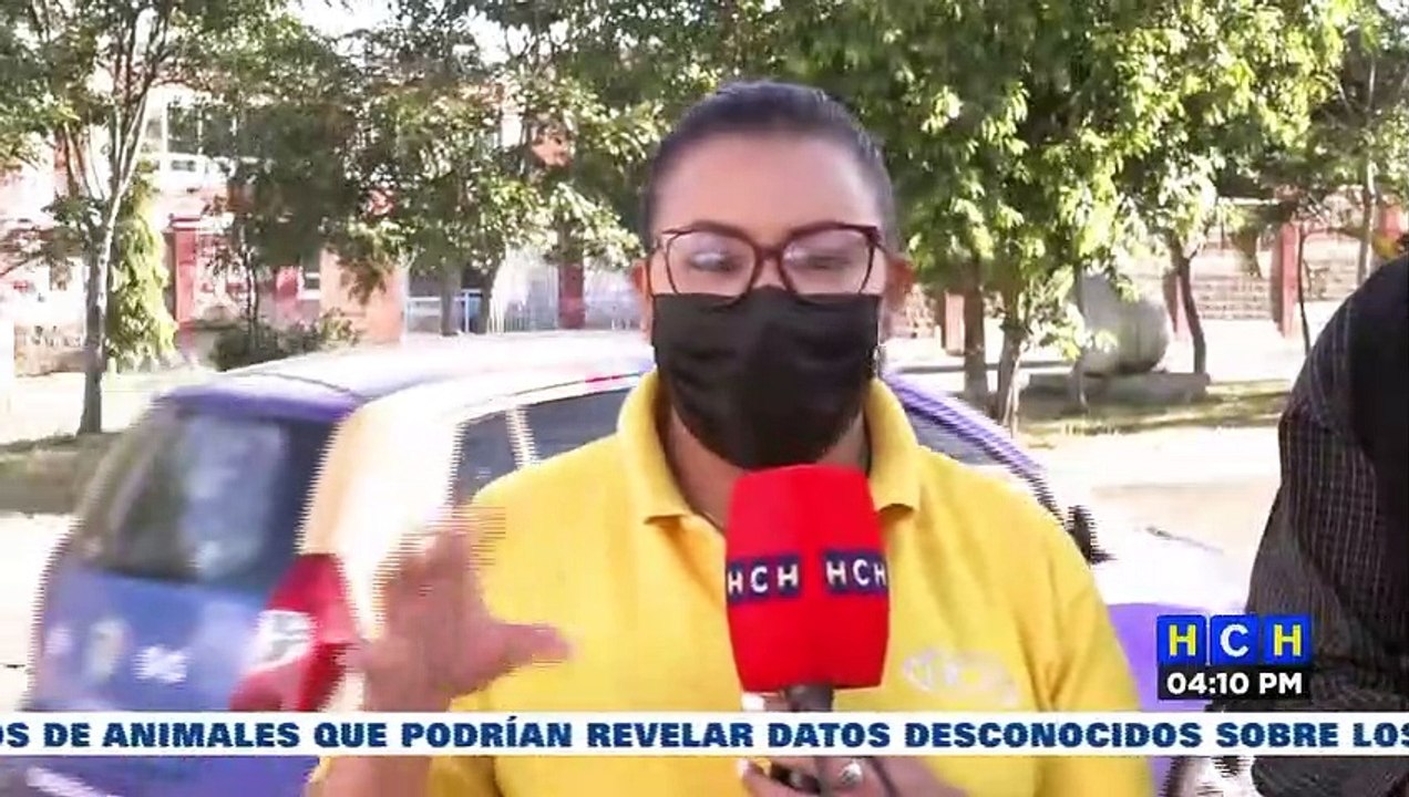 Economista: "Indicadores de desempleo y pobreza no han cambiado en nada"