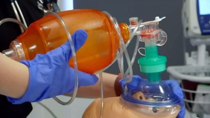 Tasmania to trial new training model to retain GPs in rural areas