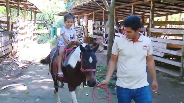 Viaje a una granjita perfecta para cerrar las vacaciones qn-Viaje a una granjita perfecta para cerrar las vacaciones-270123