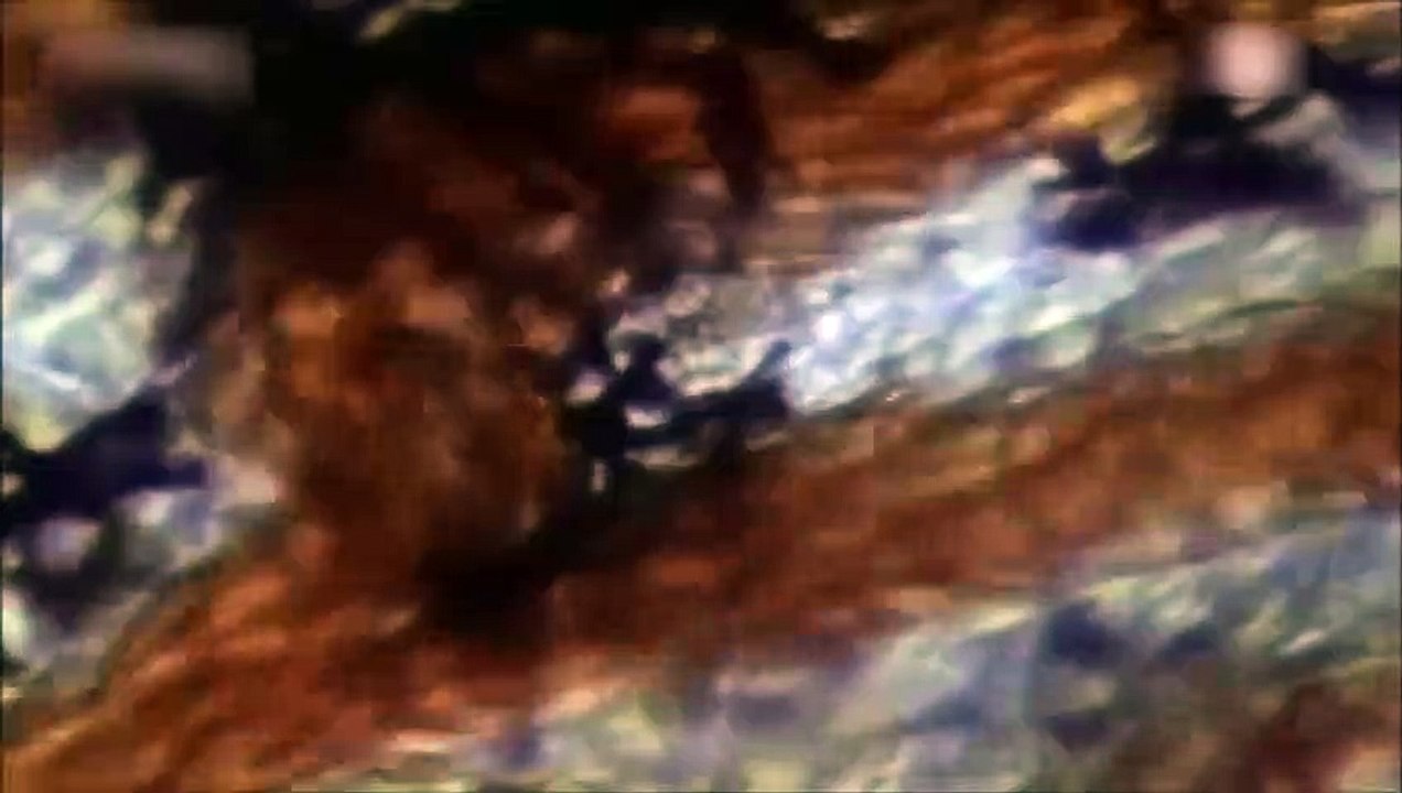 S.13 - Virus H