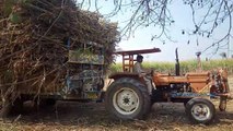 Three Tractors Carry Sugarcane Trolley From Field To Road || iftikhar sargana || iFi Vlogs