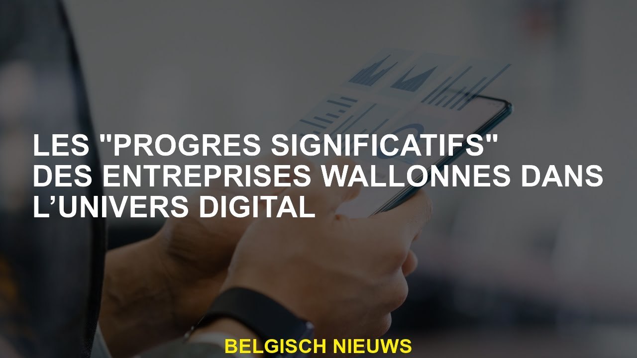 Les "progrès significatifs" des entreprises wallon dans l'univers numérique