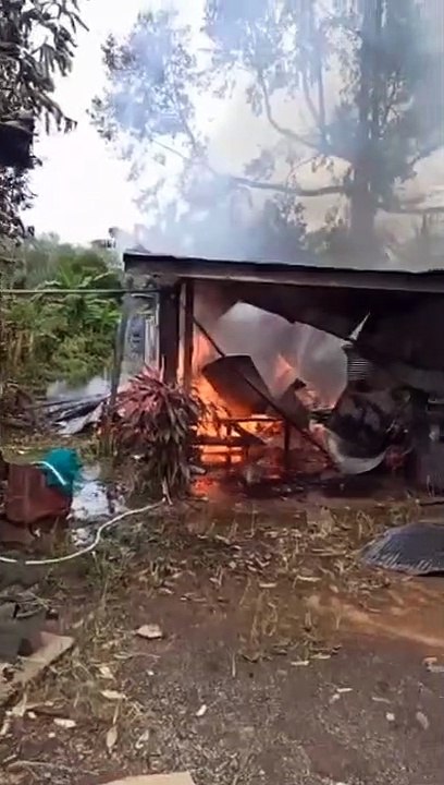 Si Jago Merah Mengamuk di Desa Padang Panjang Karang Intan