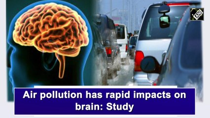 Air pollution has rapid impacts on brain: Study