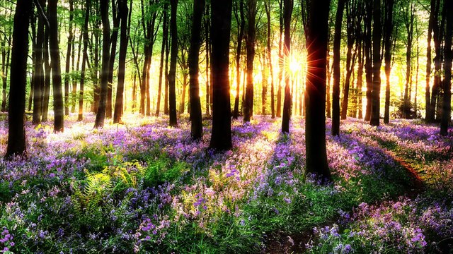 528Hz Good Morning Music-Bring Positive Changes Into Your Life-Happy Day music