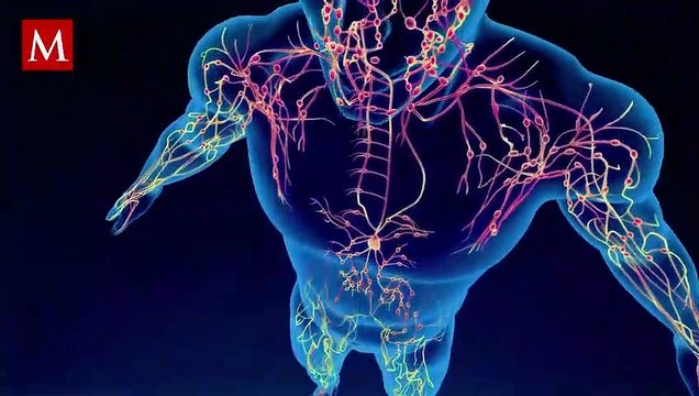 ¿Qué es la enfermedad de Kawasaki y cuáles son sus síntomas?; te contamos todo lo que debes saber