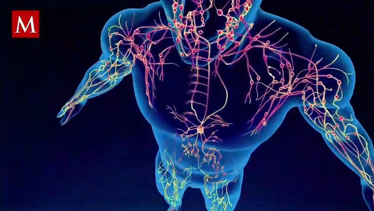¿Qué es la enfermedad de Kawasaki y cuáles son sus síntomas?; te contamos todo lo que debes saber