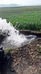 Water pump machine starting video