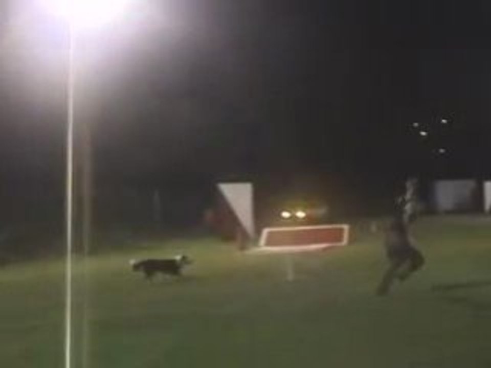 RUNNING CONTACTS -  ATELIER VITESSE