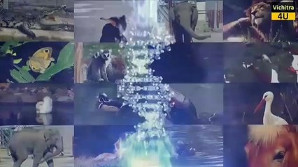 1.Hum kon hai 2.Hum kaha se aaye hai