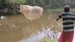 বাবা পুকুরে জাল মেরে কত বড় বড় মাছ ধরল আমাদের জন্য দেখুন - Village pond fishing fun