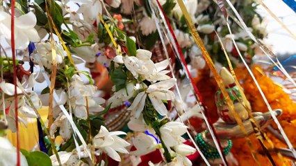 नर्मदा जयंती 2023: अनुष्ठान और समारोह