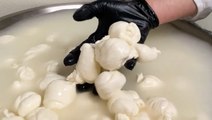 Making 30,000 pounds of mozzarella a week