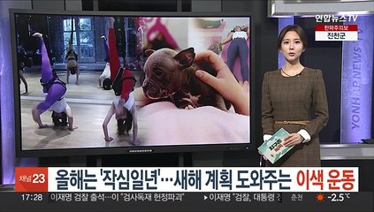 Download Video: [지구촌톡톡] 영국서 강아지들과 함께하는 '퍼피 요가' 인기 外