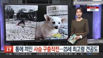 [지구촌톡톡] 통에 끼인 사슴 구출작전…23세 최고령 견공도 外
