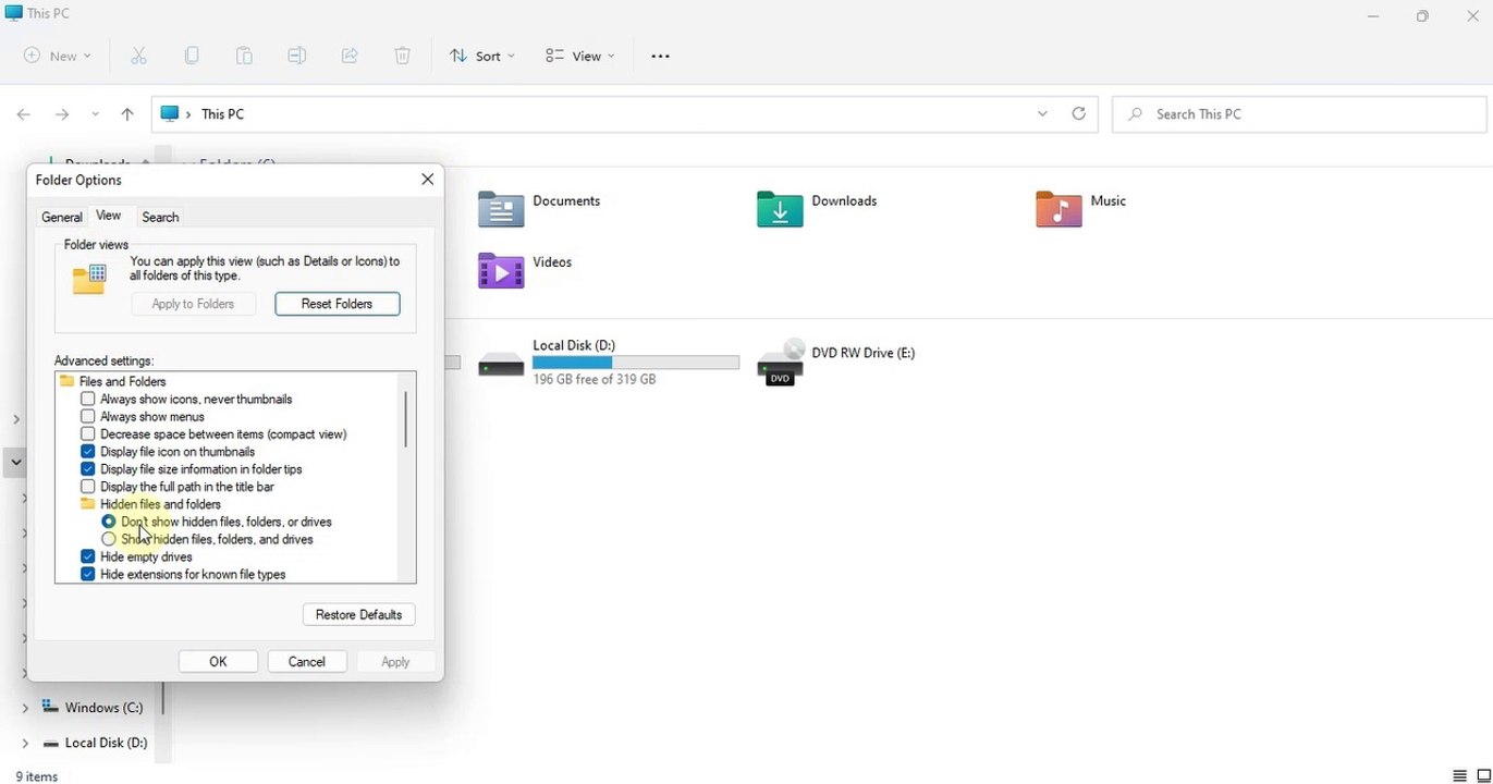 Windows 11 Show hidden files in File Explorer