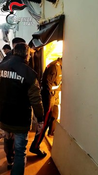 Prato, scoperta piantagione di cannabis: tre arresti