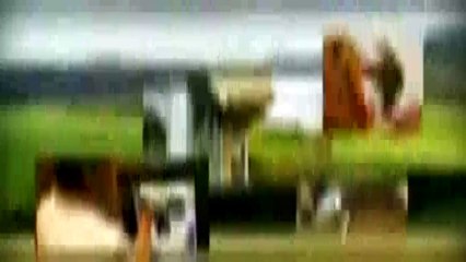 Grand Designs - Se7 - Ep11 HD Watch