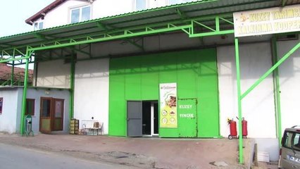 İmeceyle fabrika kuran köylüler, Sakarya fındığını işleyip ihraç edecek