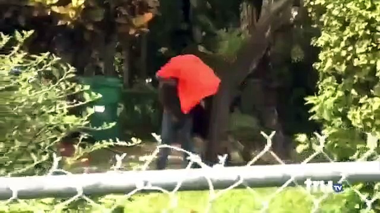 South Beach Tow - Se2 - Ep12 HD Watch