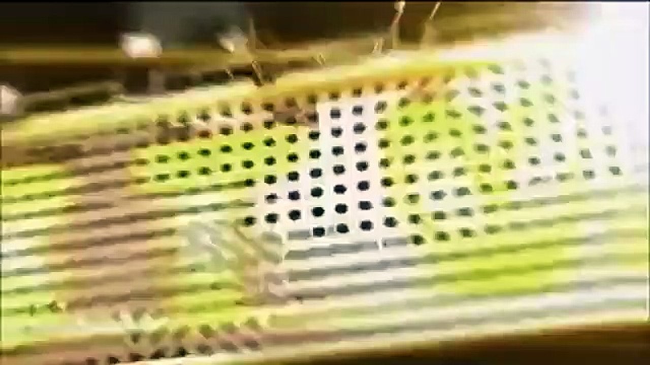 Celebrity Name Game - Se1 - Ep53 HD Watch