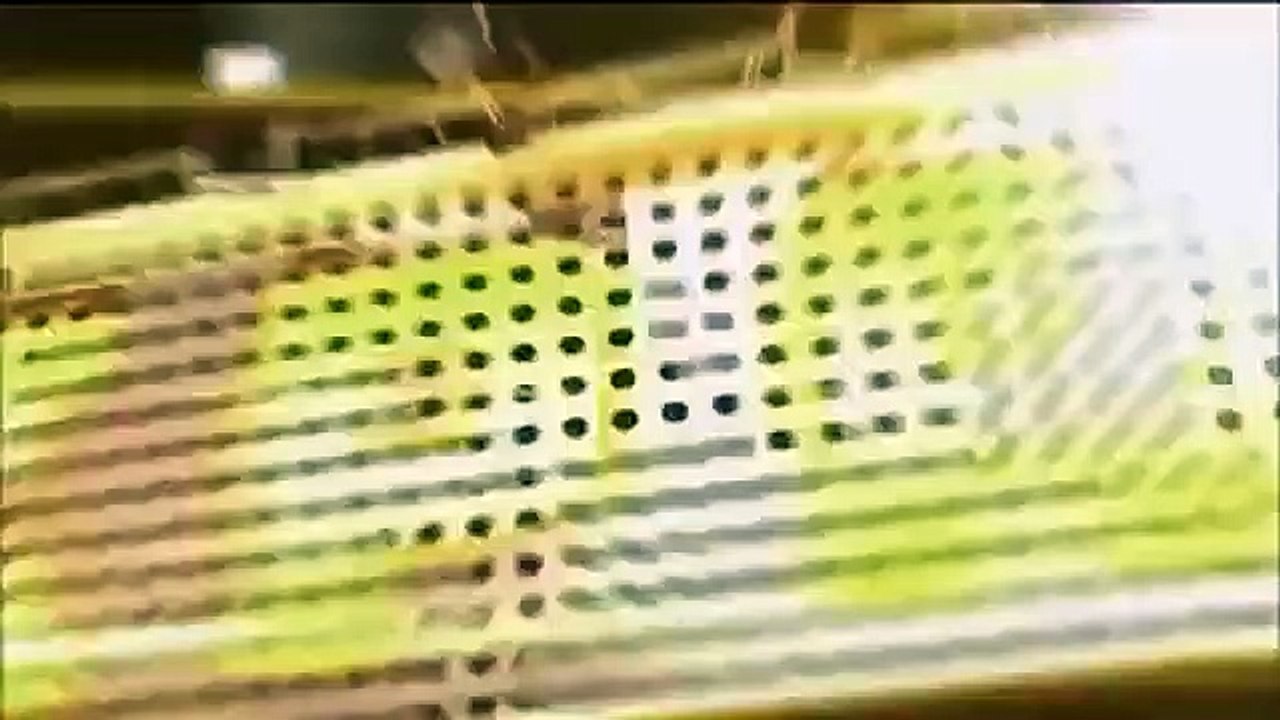 Celebrity Name Game - Se1 - Ep55 HD Watch