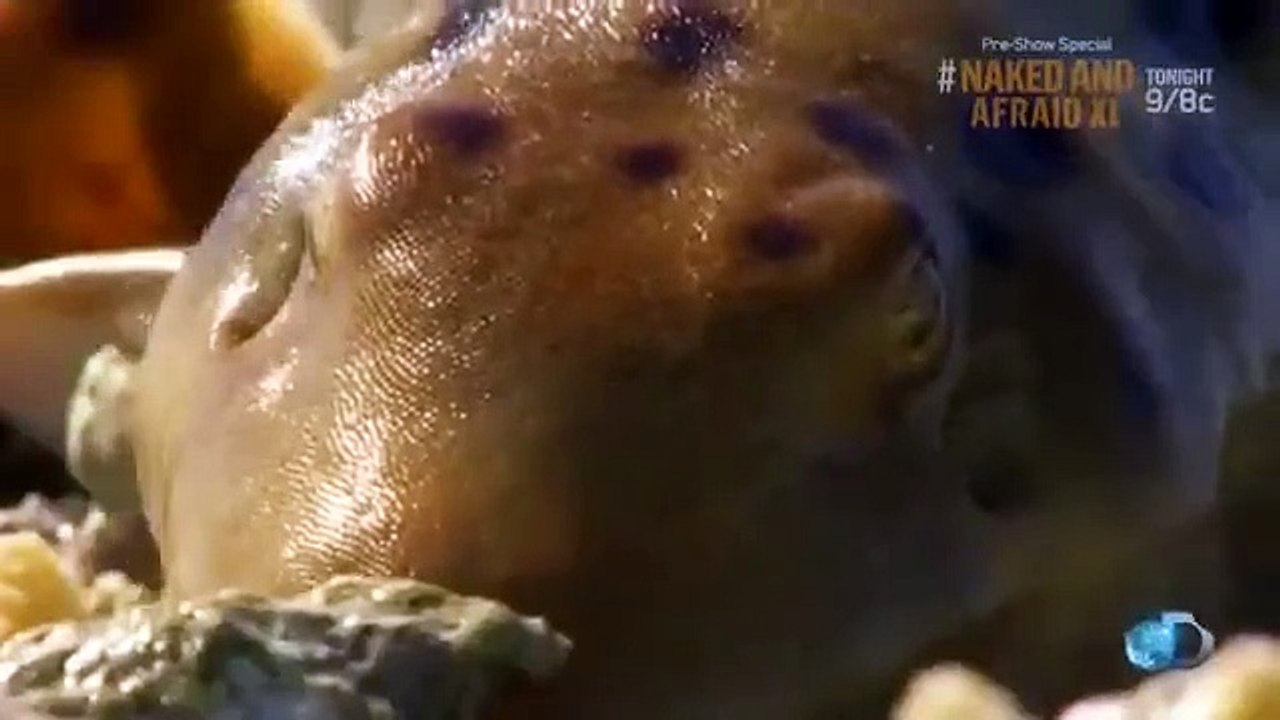 Shark Week - Se28 - Ep12 HD Watch