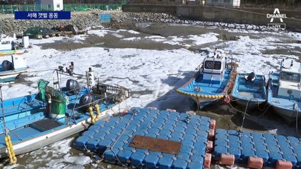바다도 얼었다…강원 평창 -24.4도까지 떨어져