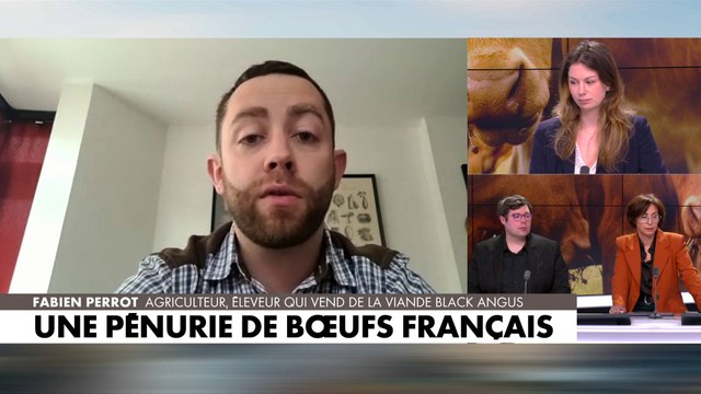 Fabien Perrot sur la pénurie de bœufs : «Ça pose aussi un problème écologique.»