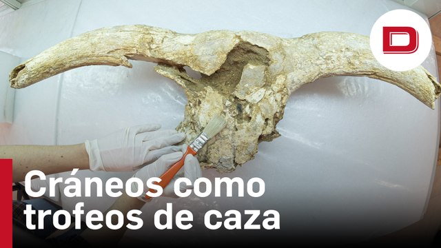 Científicos demuestran que los neandertales ya tenían capacidad simbólica: guardaban los cráneos como trofeo