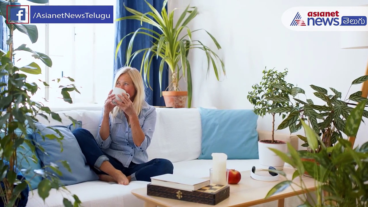 డయాబెటిస్ తో బాధపడుతున్నారా...ఈ హెర్బల్ టీలు తాగితే  కంట్రోల్ లో పెట్టవచ్చు..