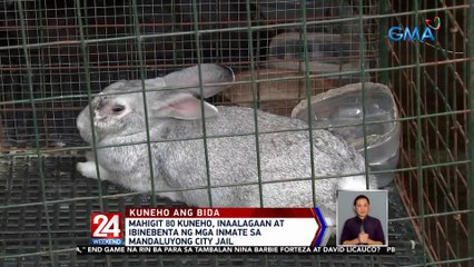 Mahigit 80 kuneho, inaalagaan at ibinebenta ng mga inmate sa Mandaluyong City Jail | 24 Oras Weekend