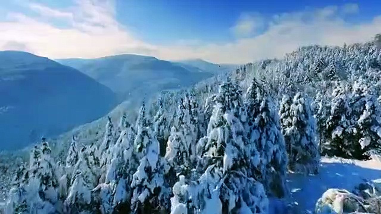 The Alaska Triangle - Se2 - Ep06 The Kodiak Dinosaur and Disappearing Planes HD Watch