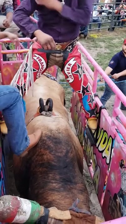 jaripeo extremo al 100% 