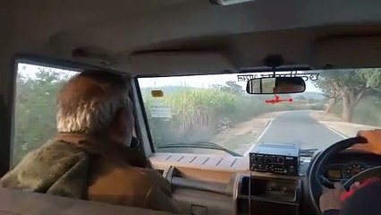 जंगल की ओर जाओ मत, गजराज कर रहे विचरण