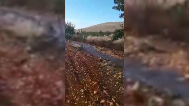 Mahmut Tanal'dan Şanlıurfa Cezaevi Açıklaması: Gidip Yerinde İnceleme Yapalım. Yalan Söyleyen Kimse İstifa Etsin. Var Mısınız?