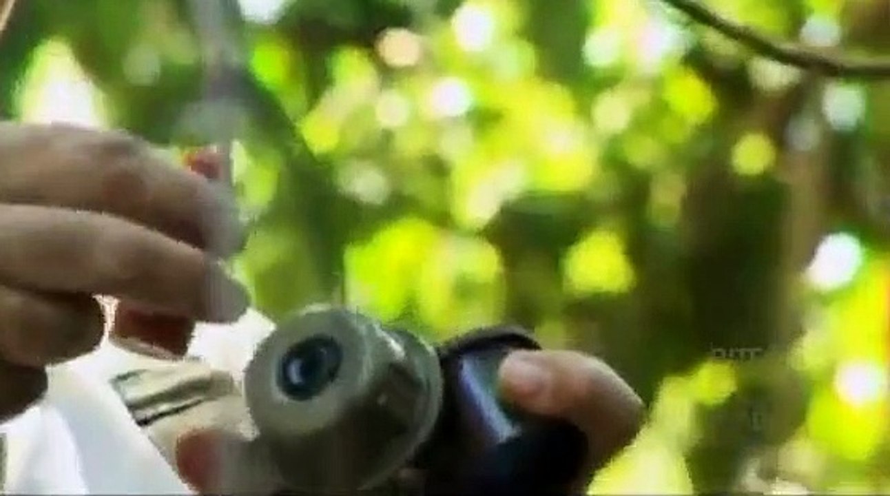 Bizarre Foods with Andrew Zimmern - Se4 - Ep10 HD Watch