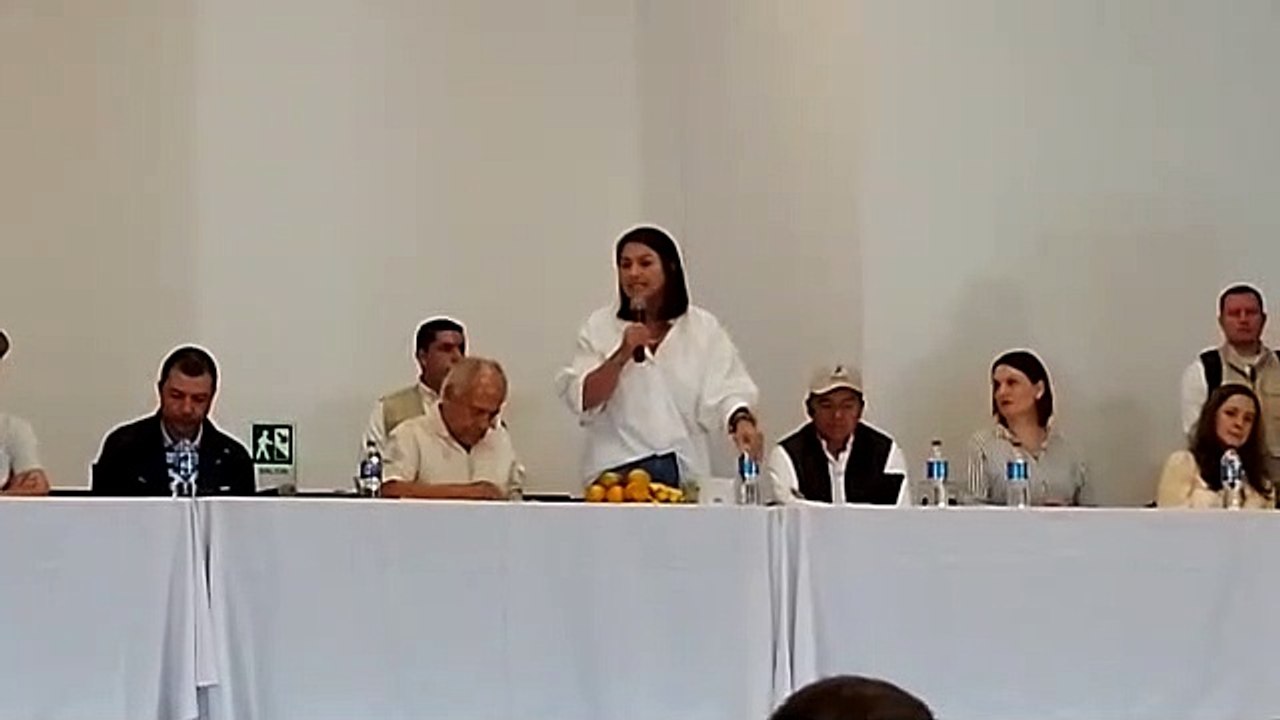 La senadora Paola Holguín expresa sus preocupaciones ante manejo de seguridad por parte del gobierno.