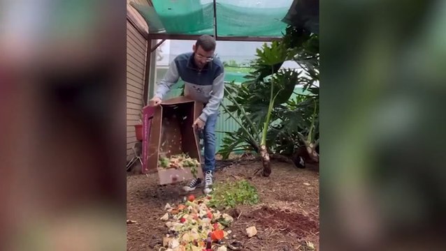 Man accidentally ends up with 80 pet guinea pigs after not separating them