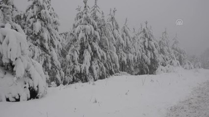 Yüksek kesimlerde kar etkili oldu