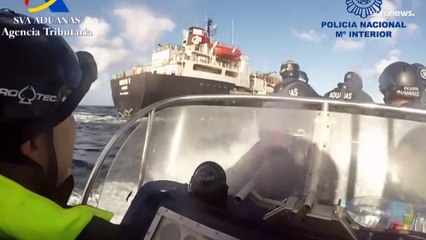 Kokain und Kühe: Spanische Polizei mit 100-Millionen-Euro-Drogenfund