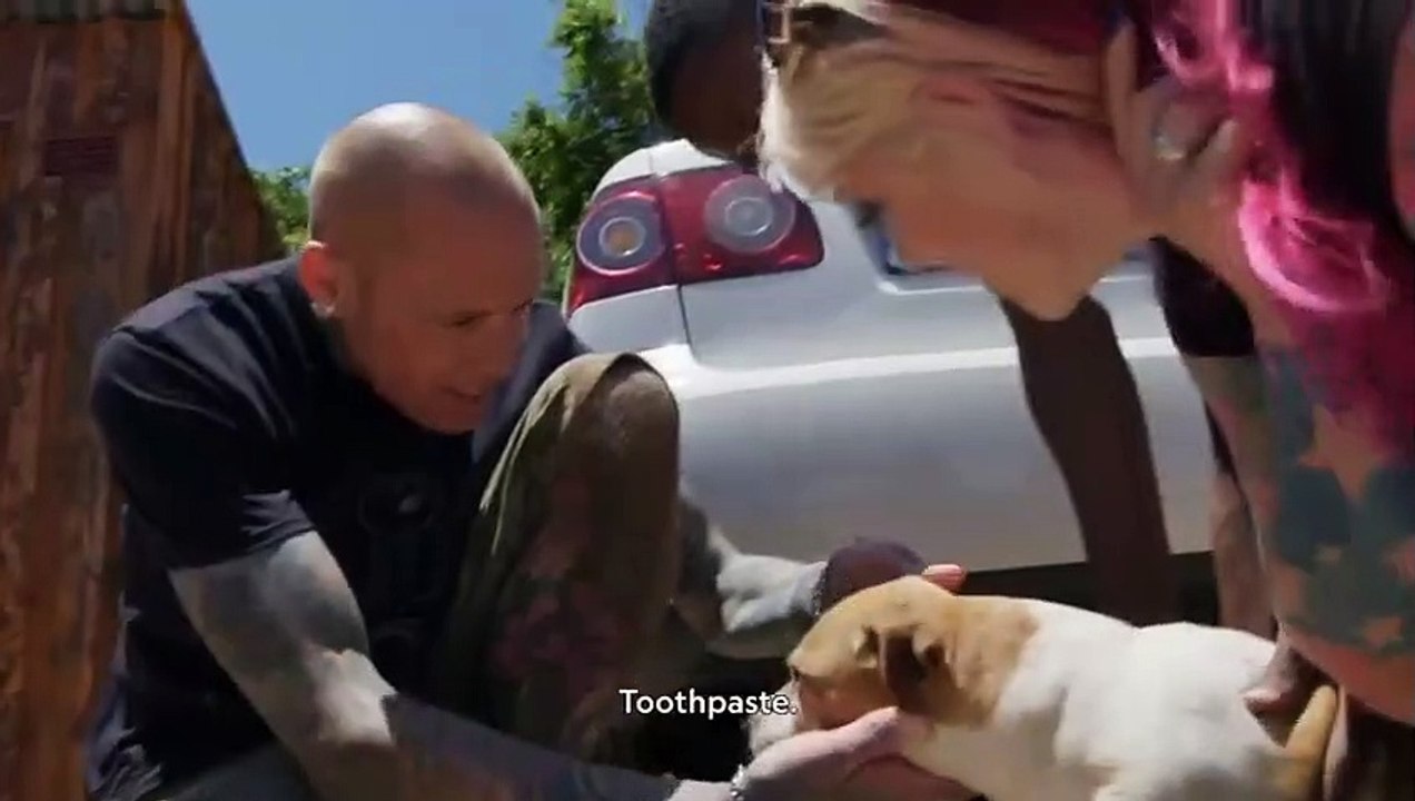 Snake City - Se5 - Ep01 - Storm of Snakes HD Watch